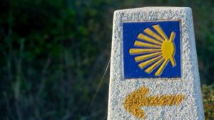 Cammino di Santiago - Cattolicivegetariani.it