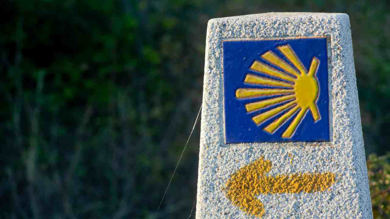 Cammino di Santiago - Cattolicivegetariani.it