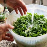 Primo piano realistico e luminoso in una cucina domestica mentre si lavano foglie fresche di rucola sotto l'acqua corrente del rubinetto, all'interno di una centrifuga per insalata. Una mano umana agita la verdura. Sullo sfondo, una busta di rucola aperta e un lavello da cucina.